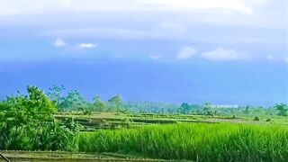In the Shadow of Mahameru: The Enchanting Foothills of Mount Semeru