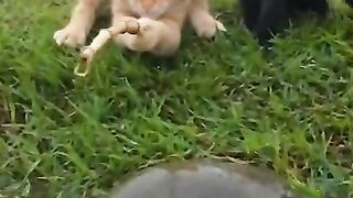 Oyen's son is fishing