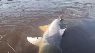 VEJÁ O TAMANHO DO PEIXE