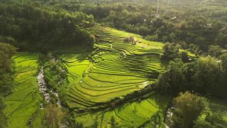 the view of the land from above