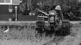 how to manage agricultural land