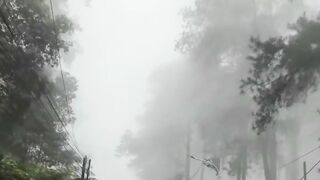 Kabut turun