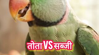 Parrot and vegetable