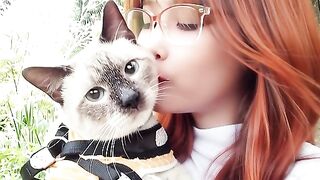 My Siamese Cat Oscar Loves Kisses 🥺💛 So Cute!