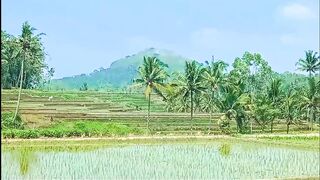 Serenade of the Hills: The Majestic Emerald Valley