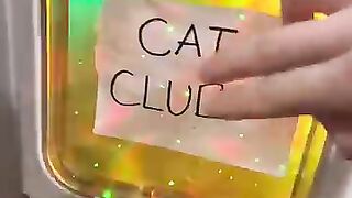 Cat Club!