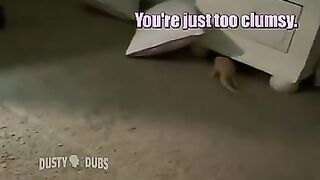 Hilarious Reptile_Amphibian Voiceover Compilation