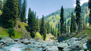 कुदरत का ये नज़ारा देखकर दिल खुश हो जाएगा 😍🏔️ | Beautiful Kashmir ❤️