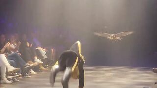 Eagle and Man🤯