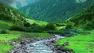Mistérios da natureza e o quão ela é linda.