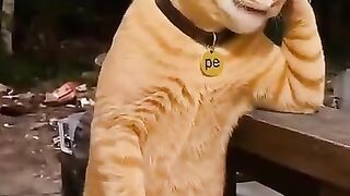 Oyen sings his sorrow through song