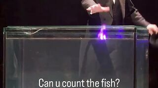 The Man Who Walks Underwater With Fish