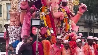 Anant Ambaani celebration