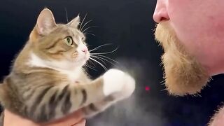 Cat vs Athlete