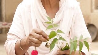 Old Punjabi grandmother
