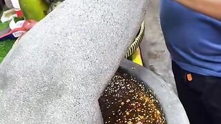 “Giant Extra-Large Mortar and Pestle – Viral Trending!”