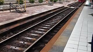 train 8