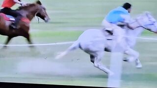 Horse race Fiji