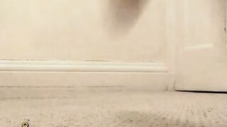 cute cat part 1
