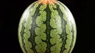 Watermelon melt