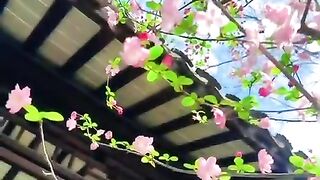 新盛真人公司开户步骤微3772655