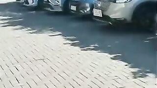 Sewa Mobil 5 Tahun Jadi Milik Sendiri