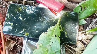 Kebun