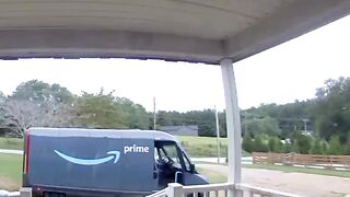 AMAZON DRIVER VS. GUARD CHICKENS! 🐓😂 HE JUMPED THE RAILING TO ESCAPE! 🏃💨