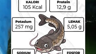 Proteins Found in Catfish