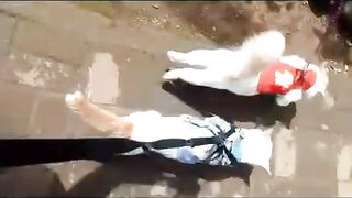 Walking My Cute Cats Wearing Clothes - So Adorable Like Dogs!