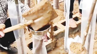 Cara membuat Bonsai