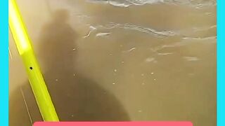 PEGOU UMA TILAPIA BOA