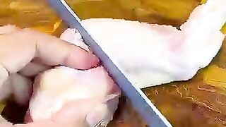 Kuliner ayam simpel