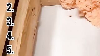 Ranking The best funniest wasp nest moments