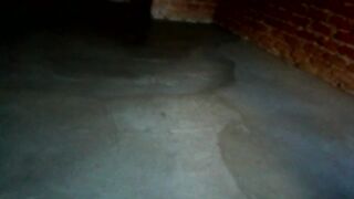 Floor screeding