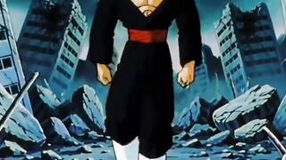 Goku e Vegeta Blue vs Black Rose