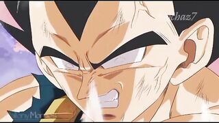 Vegeta 3