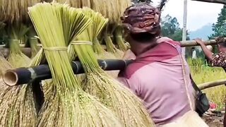 Kampung adat