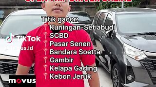 Open Trip Driver Online