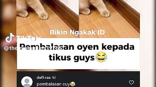 Funny