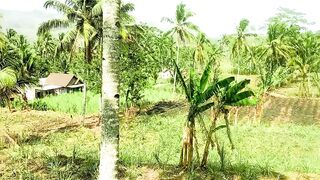 A Hidden Paradise in the Heart of the Forest