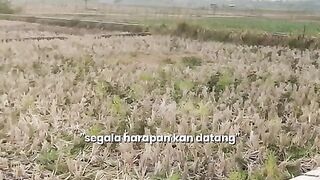 Lirik lagu 11