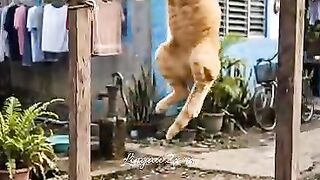 Oyen is exercising