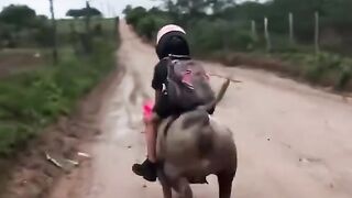 Funny