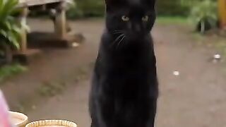 Oyen and the black man selling
