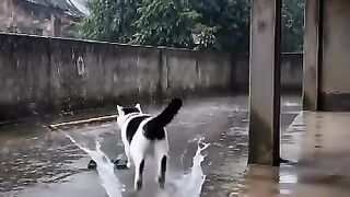 How to take sandals on a rainy day