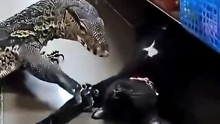 SAHABAT (480p).mp4