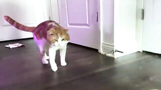 Up to no good