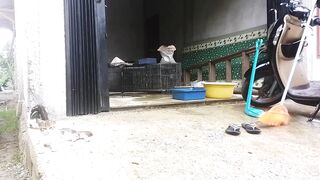 Cat Cage