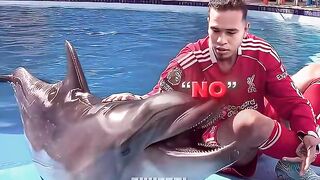 This dolphin is a Ronaldo fan 😳⚽ (720p).mp4